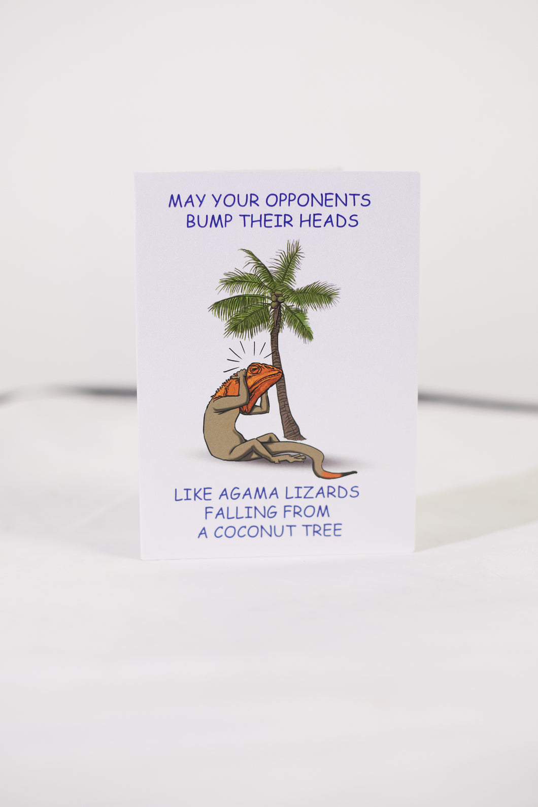 Agama Lizard